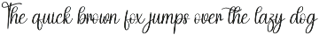 Spooky Society | Script Font preview