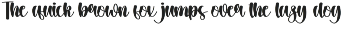 Thick Jacket | Script Font preview