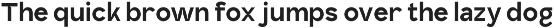 Vagnola - Modern Technology Sans preview
