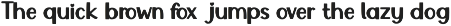 Gaca - Modern Luxury Serif Font preview