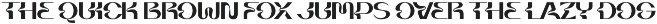 Briar - Fluid Variable Typeface preview