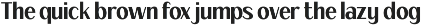 Fagi – Classic Valentine Serif Font preview