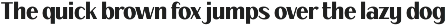Fagi – Classic Valentine Serif Font preview