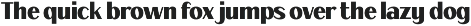 Fagi – Classic Valentine Serif Font preview