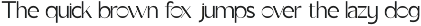 Noriene Editorial Elegant Sans Font preview