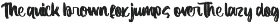 Manlight Sectarin- Modern Brush Font preview
