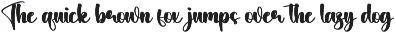 Winter City | Script Font preview