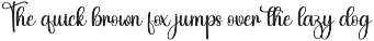 Starnight | Script Font preview