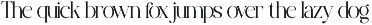 Moisten - Elegant Serif Family Font preview