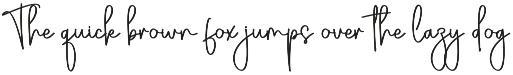 The Brother | Script Font preview