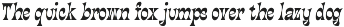 Thedrin - Decorative Serif Font preview
