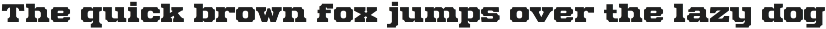 Mechwerk – Slab Serif Family preview