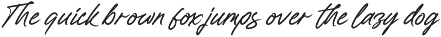 Wroteful Authentic Script Font preview