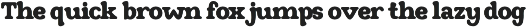 Combat - Display Serif Font preview