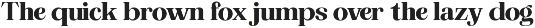 The Musa Editorial | 18 Font Files preview