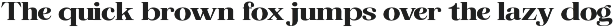 The Musa Editorial | 18 Font Files preview