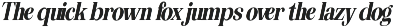 The Musa Editorial | 18 Font Files preview