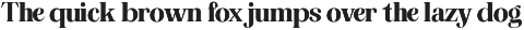 The Musa Editorial | 18 Font Files preview