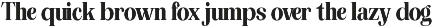 The Musa Editorial | 18 Font Files preview