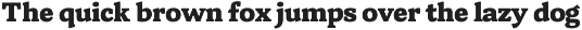 Herald News — Editorial Font preview