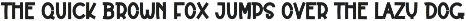 Bloom preview