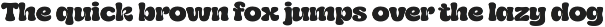 Zicho - A Groovy Inktrap Font preview