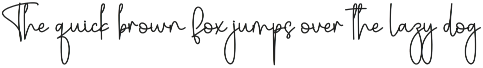Winter Christmas | Script Font preview