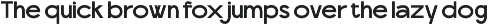 Scramble - Experimental Sans Family preview