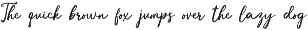 Refined Strokes - Handwritten Script preview