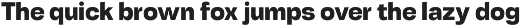 Tatype Neue preview