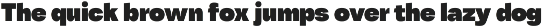 Tatype Neue preview