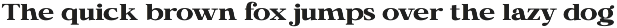 Calgine Serif preview