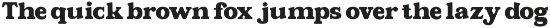 Lamonik Display Serif Font preview
