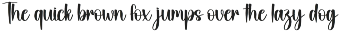 September Christmas | Script Font preview