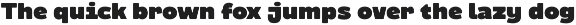 Molia - Sans Serif Font preview