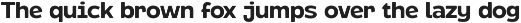 Molia - Sans Serif Font preview