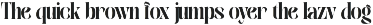 Velora Bloom - Duo Font Logo preview