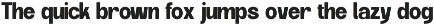 Velora Bloom - Duo Font Logo preview