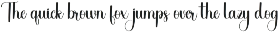 Ontime preview
