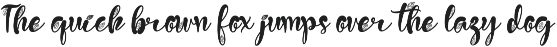 Special Best Bundle preview