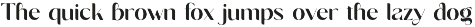 QUARTZ - High Contrast Serif Font preview