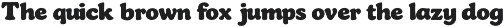 Qumblr Capuca Retro Handdrawn Serif preview