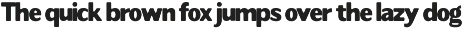 Readant Normal - Family Font preview