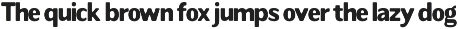 Readant Normal - Family Font preview