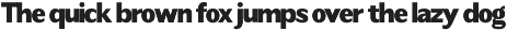 Readant Normal - Family Font preview