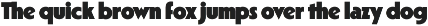 Porito - 14 Fonts preview