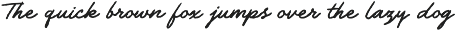 The Daily Notes - Script and Sans preview