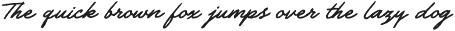 The Daily Notes - Script and Sans preview