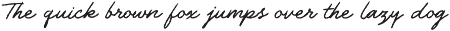 The Daily Notes - Script and Sans preview