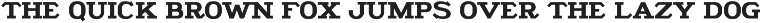 GDC Fuller Typeface preview